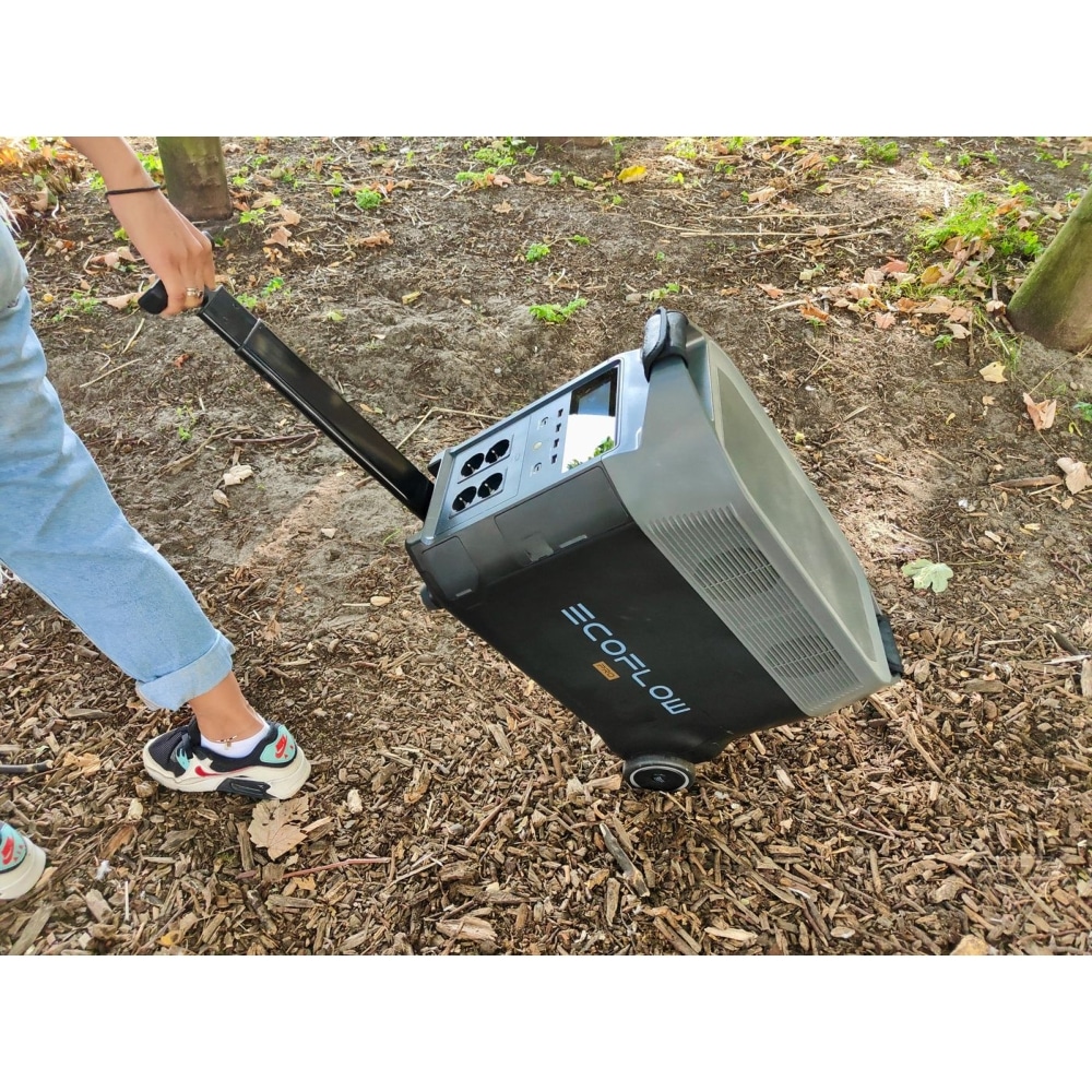 Ecoflow Delta Pro 3600