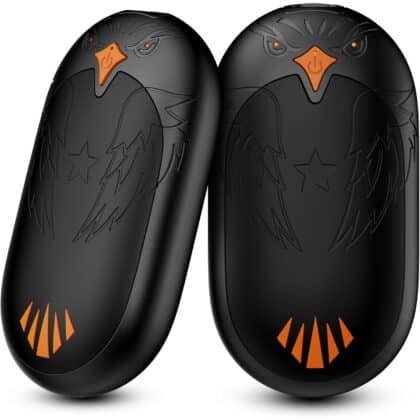 Calentador electrico x2